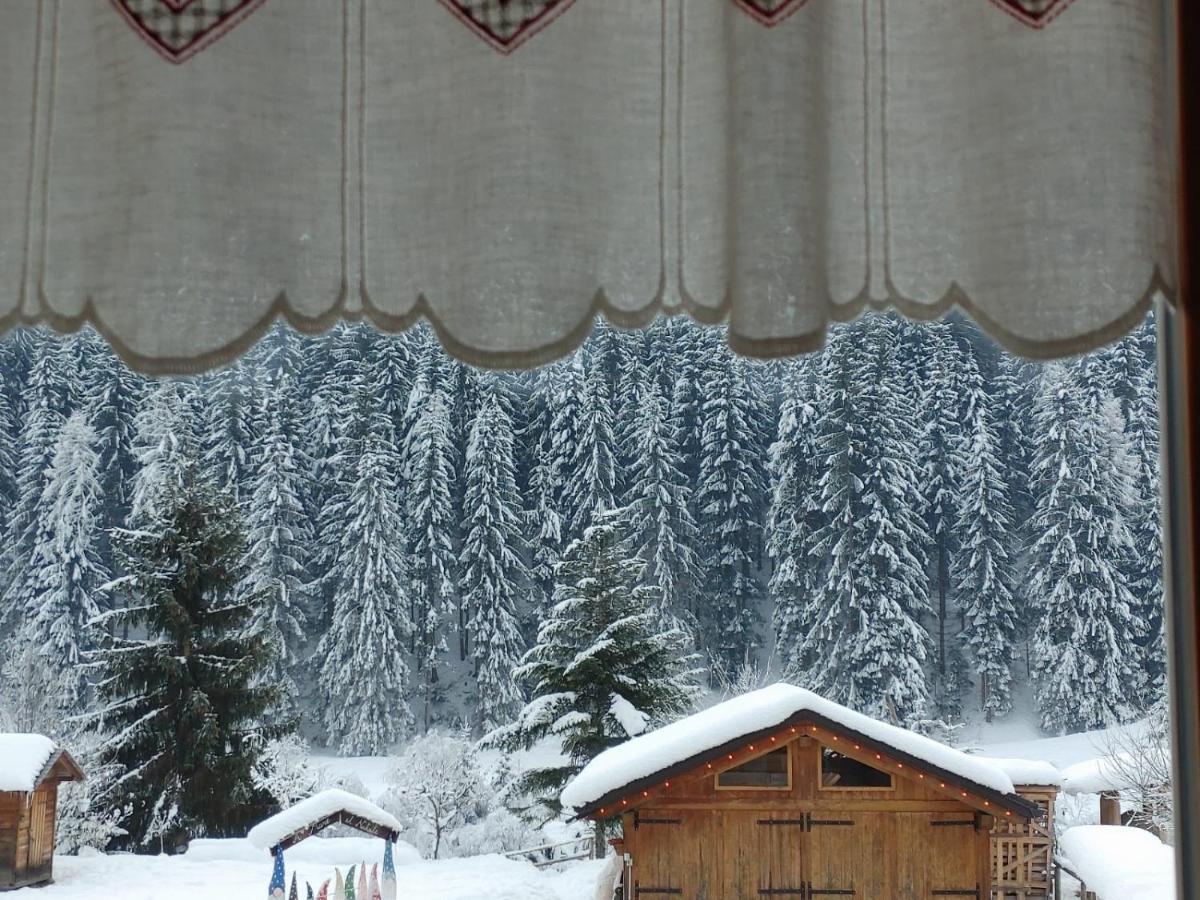 B&B A Ceda Toa San Pietro di Cadore Kültér fotó